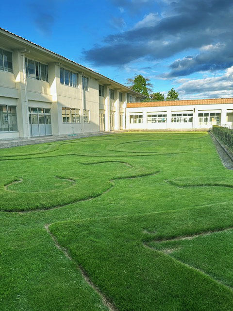 【緑化システム】中庭に海の巨大生物が！