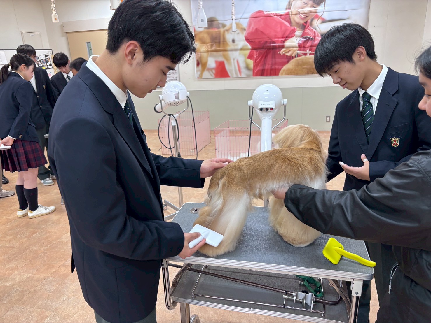 2年生「関連校見学～岡山理科大学専門学校～」