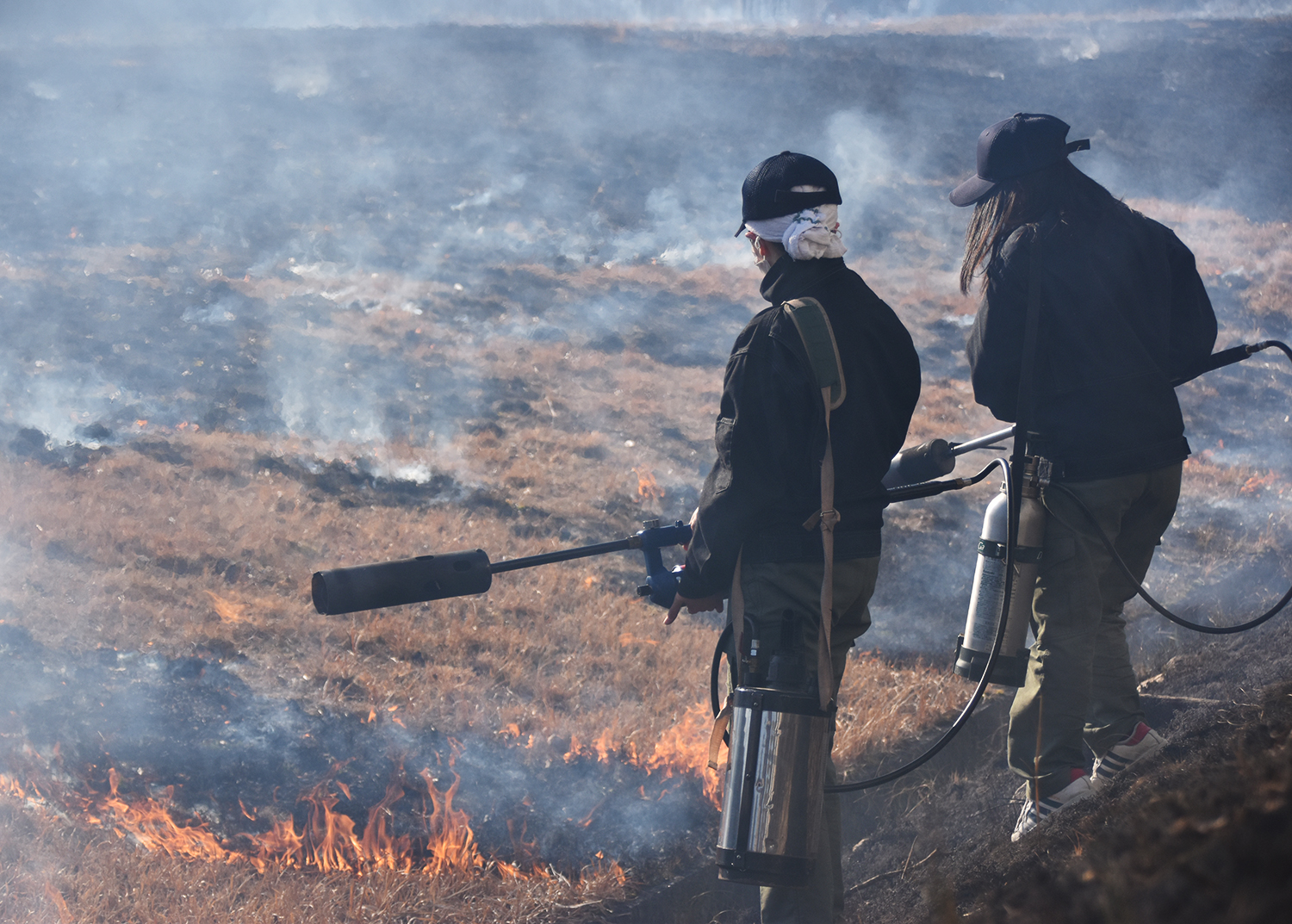 今日は芝焼き日和でした！