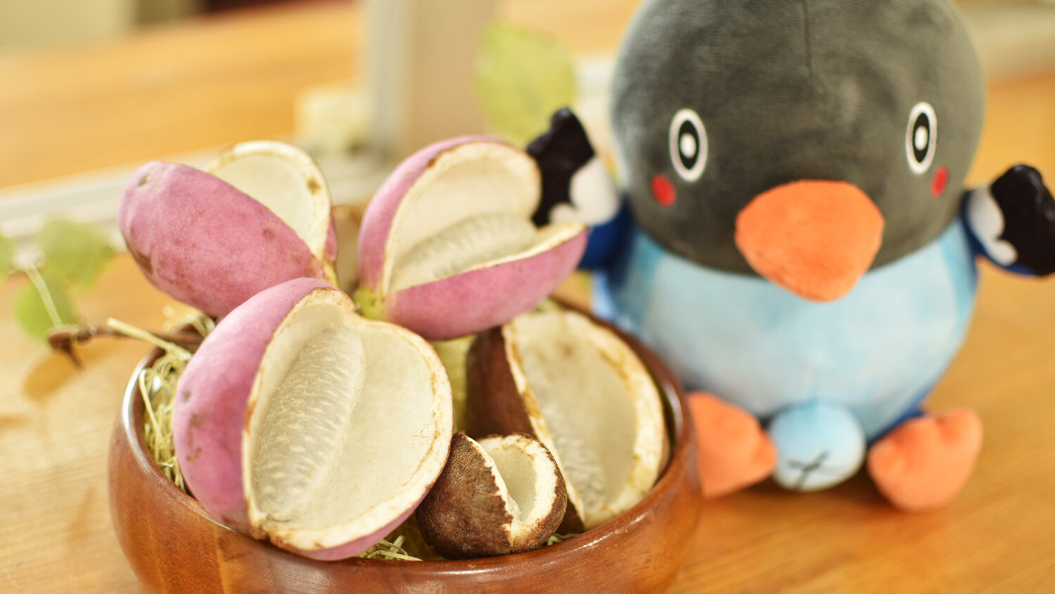 深まる秋の気配