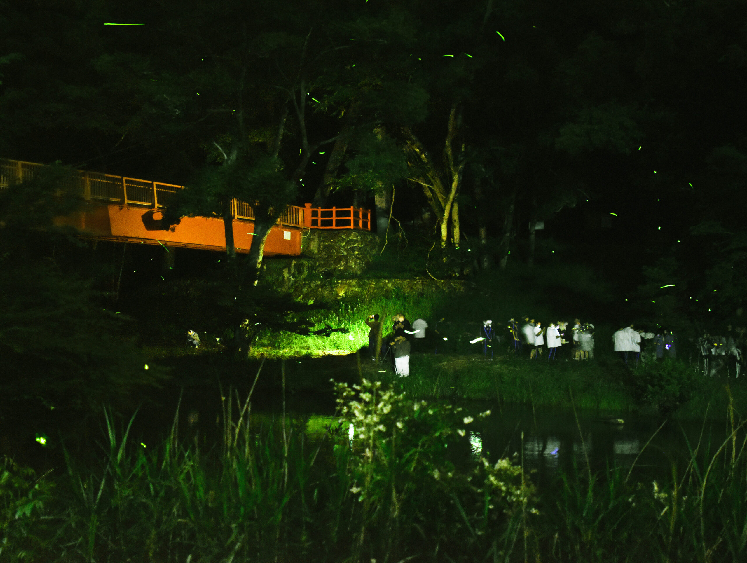 全寮制だからこそ！夜の宇甘渓ホタル観察！